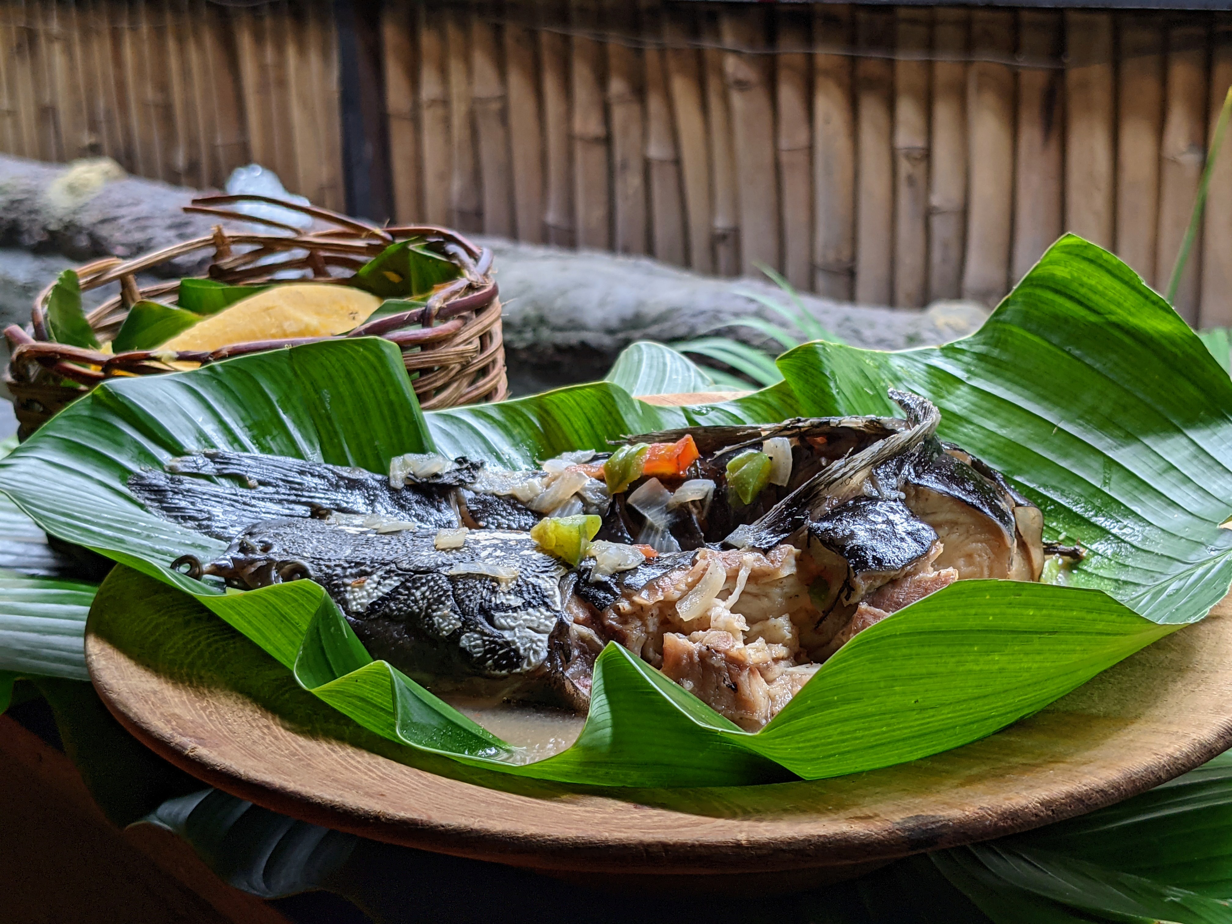 Ndomba de Poisson